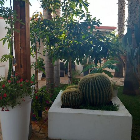 بورتو سيساريو Villa Raggio Di Sole Parcheggio Privato المظهر الخارجي الصورة