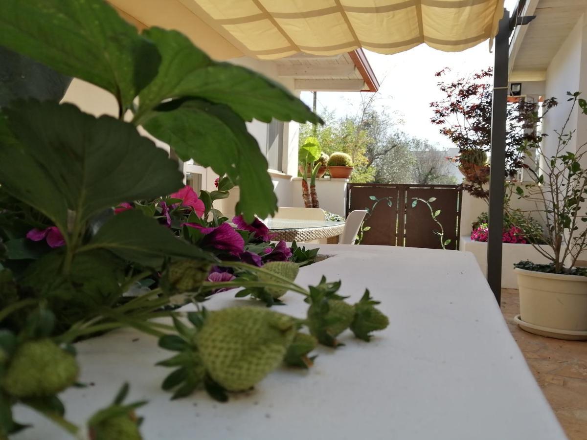 بورتو سيساريو Villa Raggio Di Sole Parcheggio Privato المظهر الخارجي الصورة