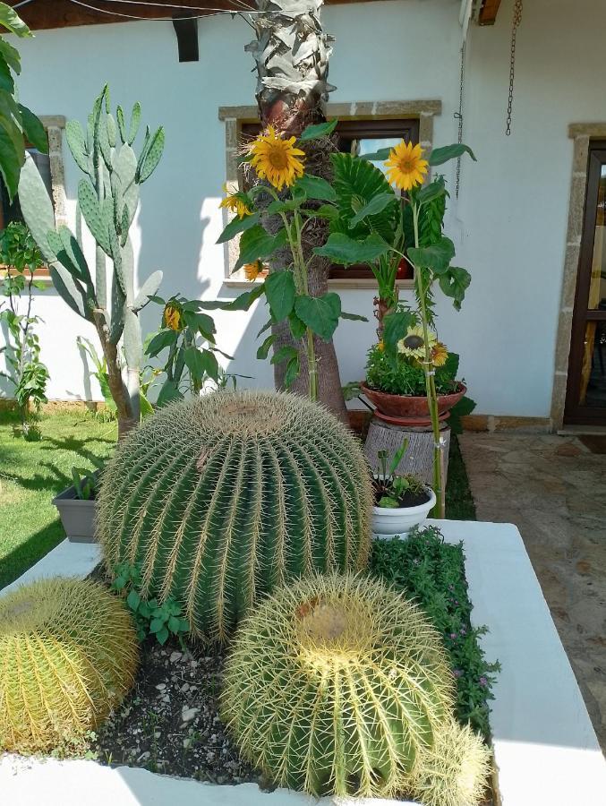 بورتو سيساريو Villa Raggio Di Sole Parcheggio Privato المظهر الخارجي الصورة