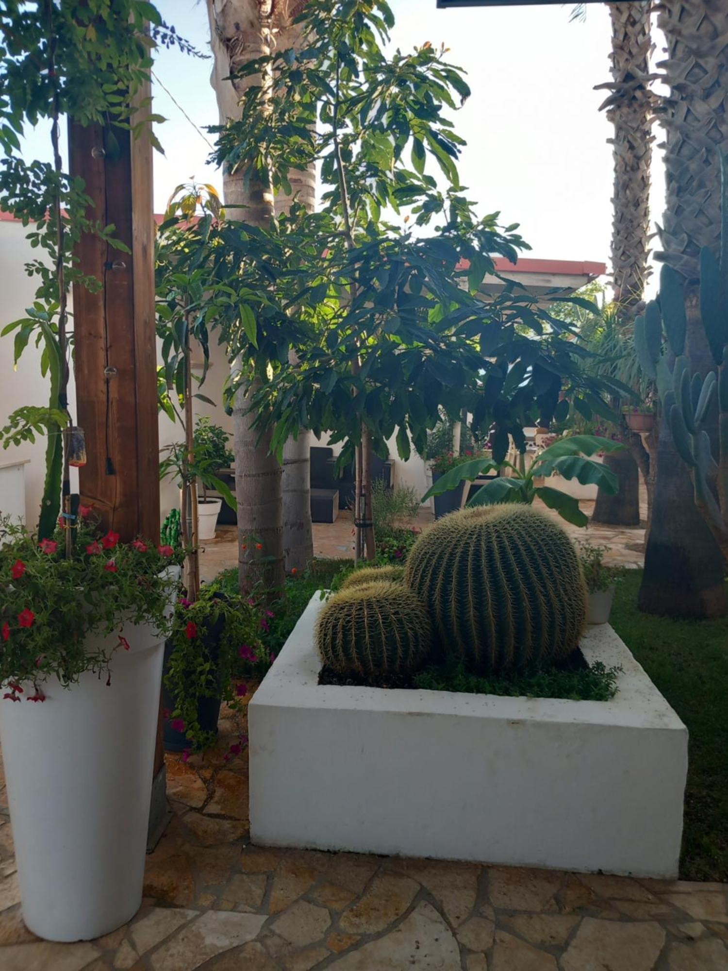 بورتو سيساريو Villa Raggio Di Sole Parcheggio Privato المظهر الخارجي الصورة